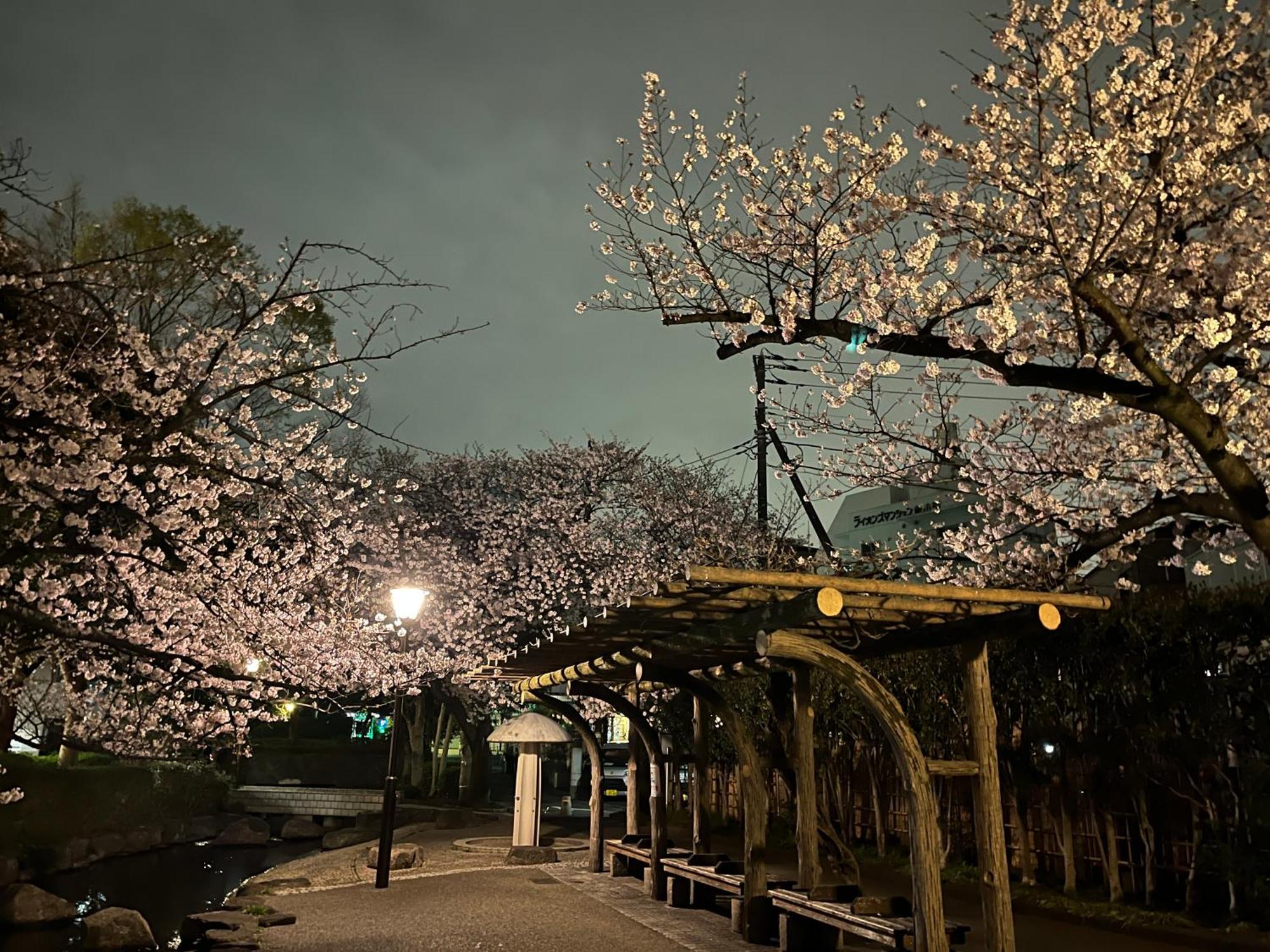 Апартаменты 松島雅居 Токио Экстерьер фото