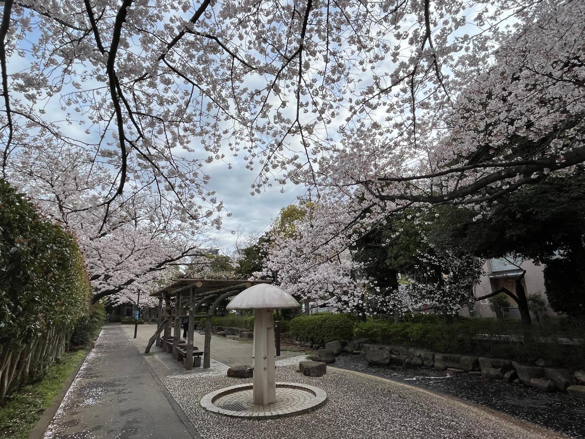 Апартаменты 松島雅居 Токио Экстерьер фото